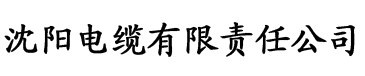 红桃视频大片电缆厂logo